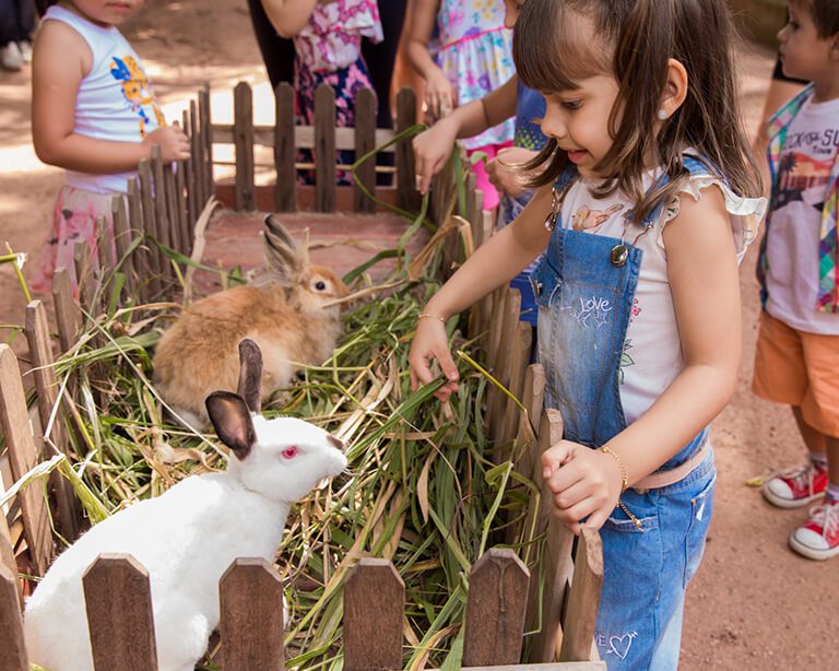 Criança interagindo com coelho